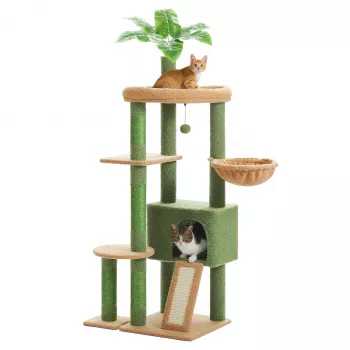 Multi-Level Cactus Cat Tree: Stable Vertical Fun